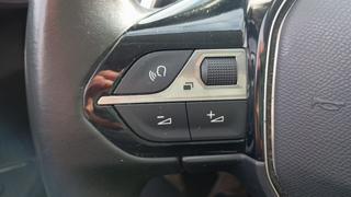 PEUGEOT 3008 usata, con Volante multifunzione