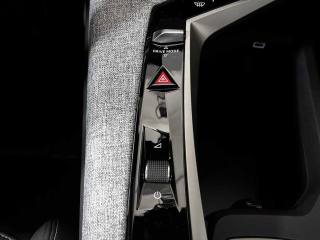 PEUGEOT 3008 usata 28