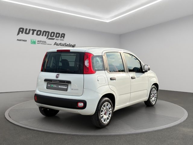FIAT Panda usata, con Antifurto