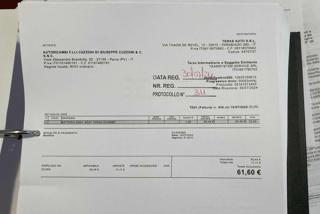 SEAT Ibiza usata 18