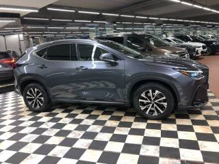 LEXUS NX 450h usata, con Chiusura centralizzata