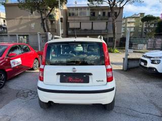 FIAT Panda usata, con Alzacristalli elettrici