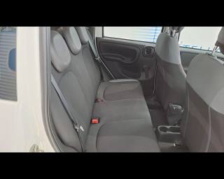 FIAT New Panda usata, con Assistente abbaglianti