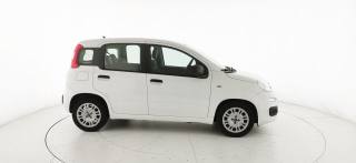 FIAT Panda usata, con ESP