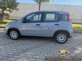 FIAT Panda usata, con Autoradio