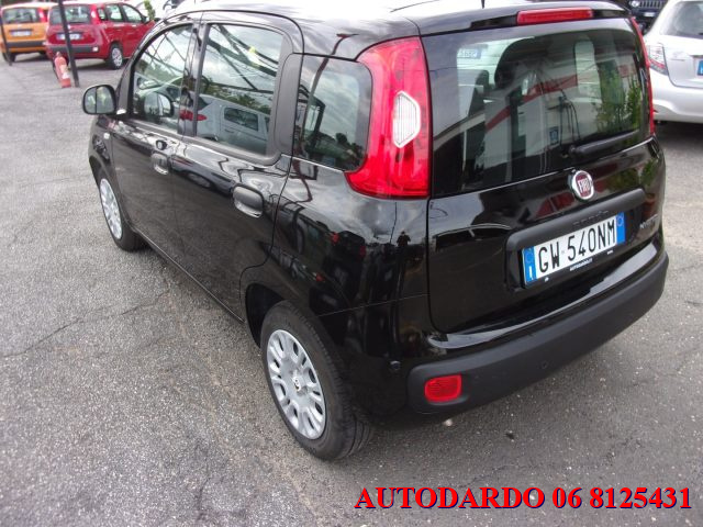 FIAT Panda usata, con Cruise Control