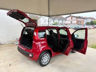 FIAT Panda usata 41