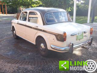 FIAT 1100 usata 6