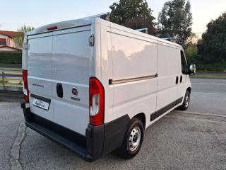FIAT Ducato usata 8