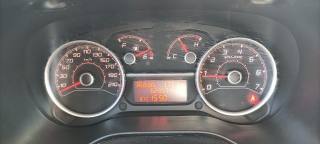 FIAT Doblo usata 12