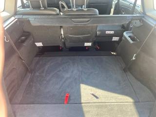 RENAULT Scenic usata, con Controllo automatico clima