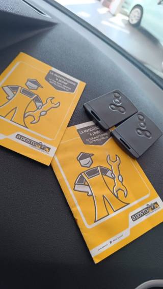 RENAULT Scenic usata, con Specchietti laterali elettrici