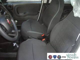 FIAT Panda usata 17