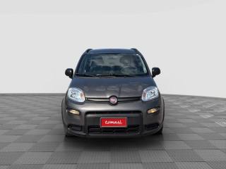 FIAT Panda usata 7
