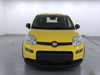 FIAT Panda usata, con Climatizzatore