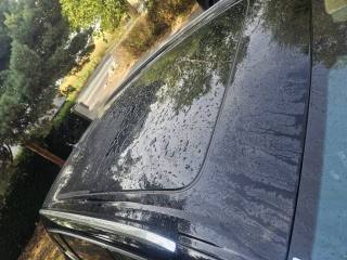 AUDI Q7 usata, con Servosterzo
