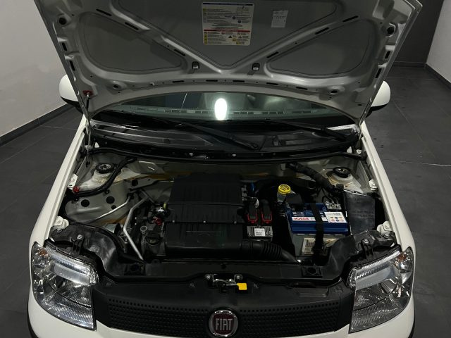 FIAT Panda usata 13
