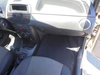 FIAT Punto usata 25