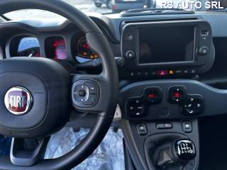 FIAT Panda Cross usata, con Airbag Passeggero