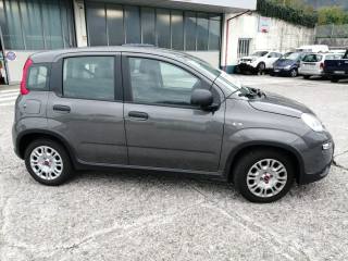 FIAT Panda usata, con Antifurto