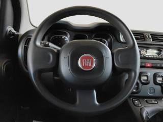 FIAT Panda usata 12