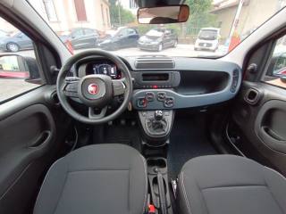 FIAT Panda usata, con Cruise Control