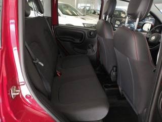 FIAT Panda Cross usata 17