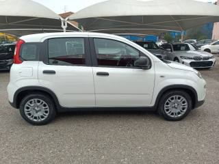 FIAT Panda usata, con Climatizzatore
