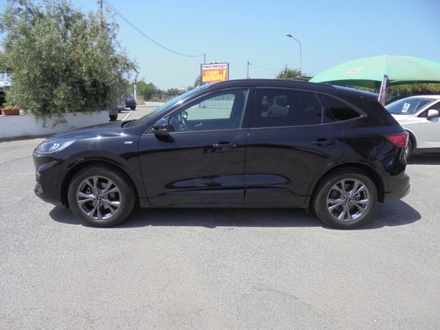 FORD Kuga usata, con Fendinebbia