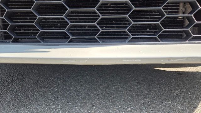 SKODA Octavia usata, con Cerchi in lega