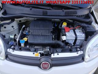 FIAT Panda usata, con Ruotino
