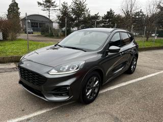 FORD Kuga usata, con Airbag Passeggero