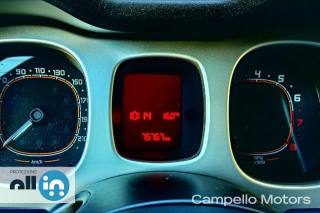 FIAT Panda usata 12