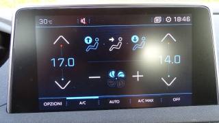 PEUGEOT 3008 usata 106