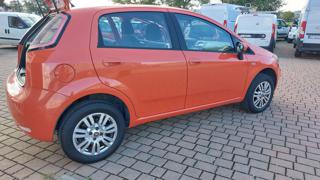 FIAT Punto usata, con Chiusura centralizzata telecomandata
