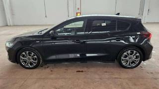 FORD Focus usata, con Airbag Passeggero