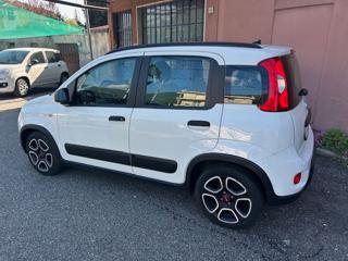 FIAT Panda usata, con Airbag Passeggero