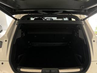 DS AUTOMOBILES DS 7 usata, con Vivavoce