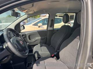 FIAT Panda usata, con Fari Xenon