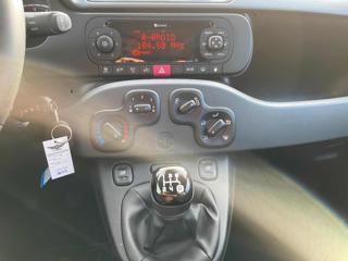 FIAT Panda usata 20