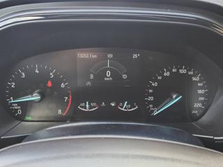 FORD Focus usata, con Cruise Control