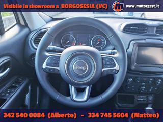 JEEP Renegade usata, con Climatizzatore