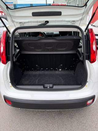 FIAT Panda usata, con Controllo trazione