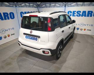 FIAT New Panda usata, con Airbag Passeggero
