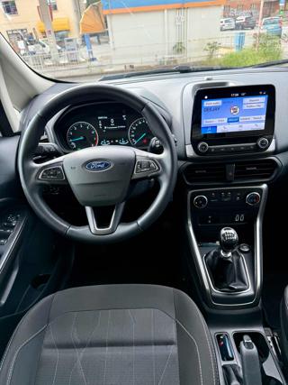 FORD EcoSport usata, con Cronologia tagliandi