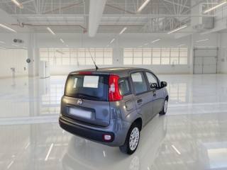 FIAT Panda usata, con Airbag