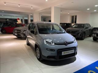 FIAT Panda usata, con Airbag Passeggero