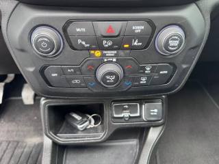 JEEP Renegade usata, con Cruise Control