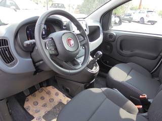 FIAT Panda usata 17