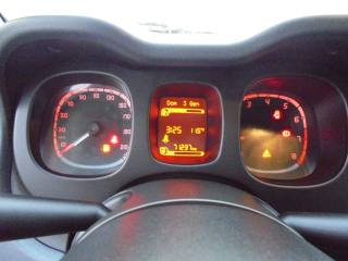 FIAT Panda usata 25
